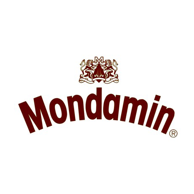 Mondamiin